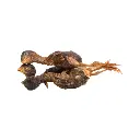 Absolute Bites Freeze Dried Cat Treats - Quail 25g
