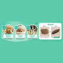 Altimate Pet Supplement for Dogs- Probiotic Chews 250g