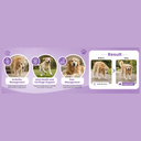 Altimate Pet Supplement for Dogs – Joint Care Chews 250g
