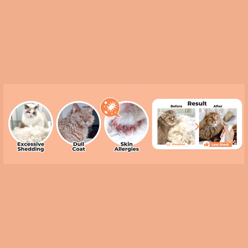 Altimate Pet Supplement for Cats – Anti Shedding Powder 150g
