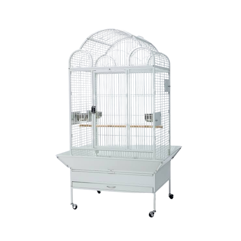 Dayang Cage (A8102) - White