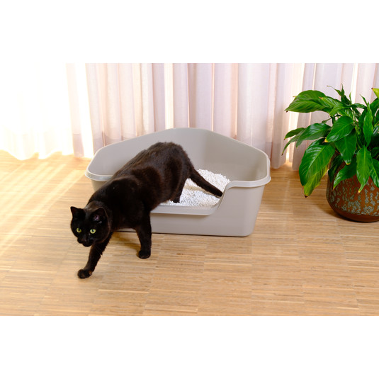 Moderna Hy Fit Cat Litter Box- Blue Berry, L 66 x W 55 x H 25.4 cm 