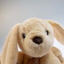 Duvo+ Plush Pawbies Rabbit Crackle Dog Toy 23x11x33cm - Brown (new)   