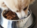 Duvo+ Sausage For Dogs - 400g [Lamb & Zucchini] (new)   