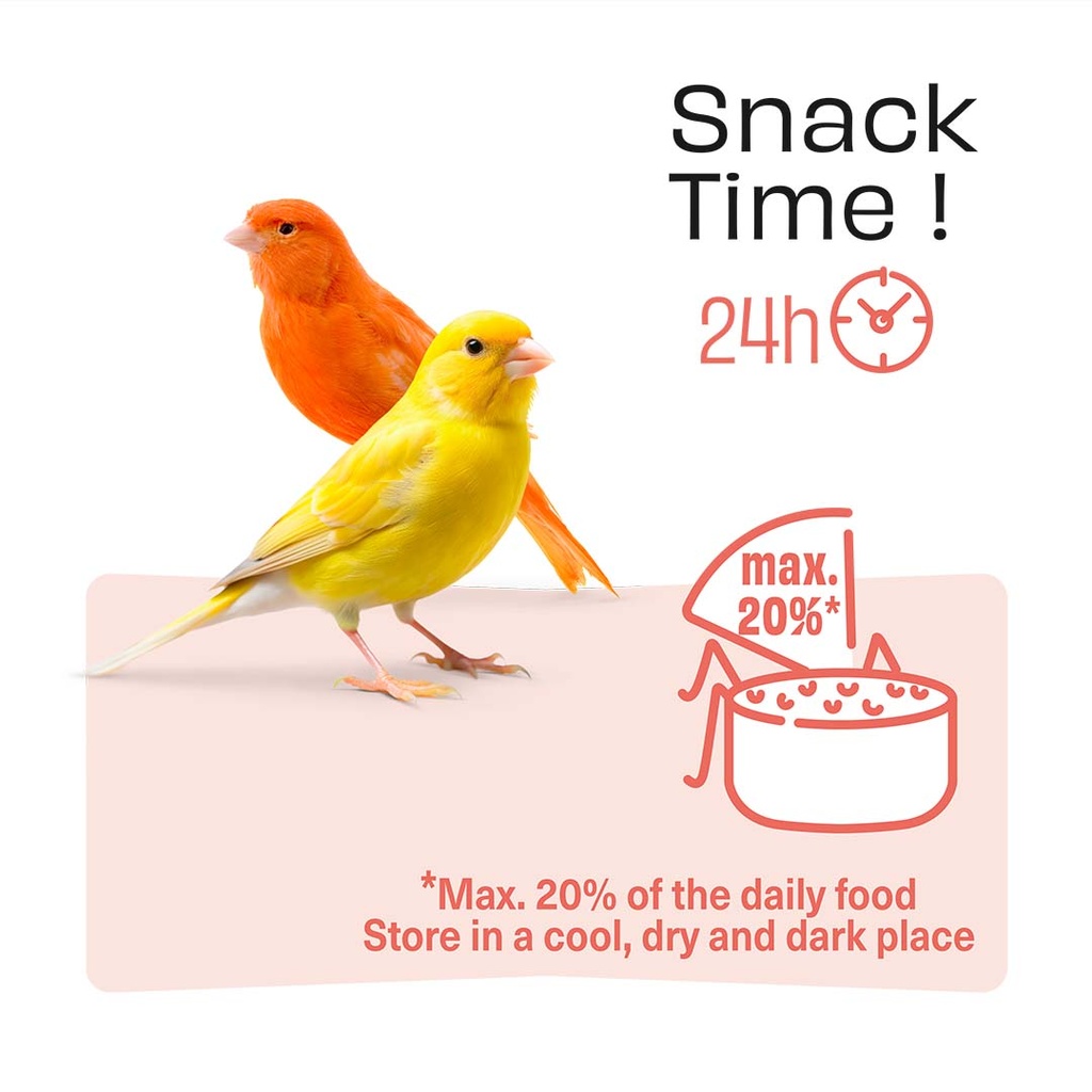 Witte Molen Puur Sticks With Cranberry & Kiwi For Canary  [Weight - 60g] (new)