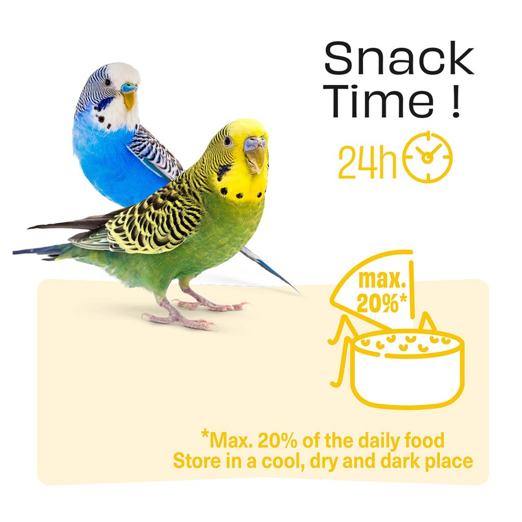 Witte Molen Puur Sticks With Orange & Mango For Budgie [Weight - 60g] (new)  