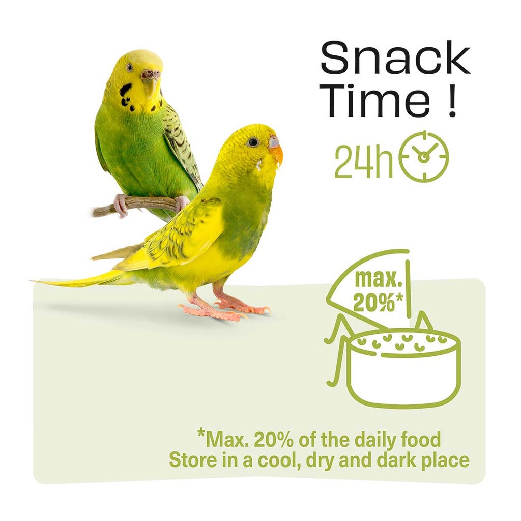 Witte Molen Puur Sticks With Rosehip & Apple For Budgie [Weight - 60g] (new)  