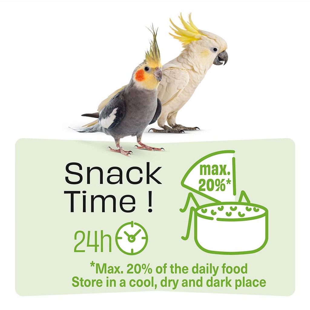 Witte Molen Puur Sticks With Kiwi & Eucalyptus For Large Parakeet [Weight - 150g] (new)   
