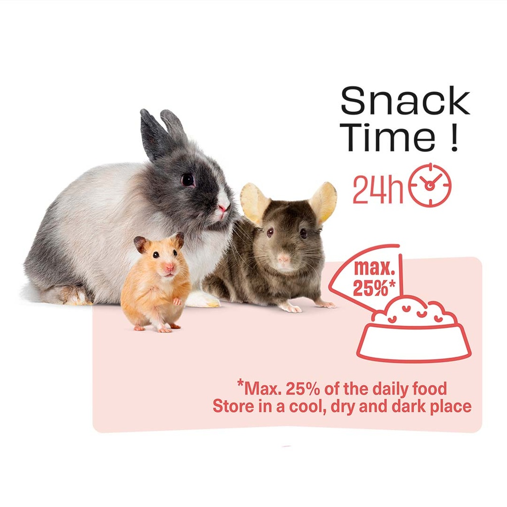 Witte Molen Chew Sticks With Apple & Chokeberry For Rabbit & Small Animals [Weight - 100g] (new)