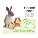 Witte Molen Chew Sticks With Pea & Tomato For Rabbit & Small Animals [Weight - 180g] (new)  