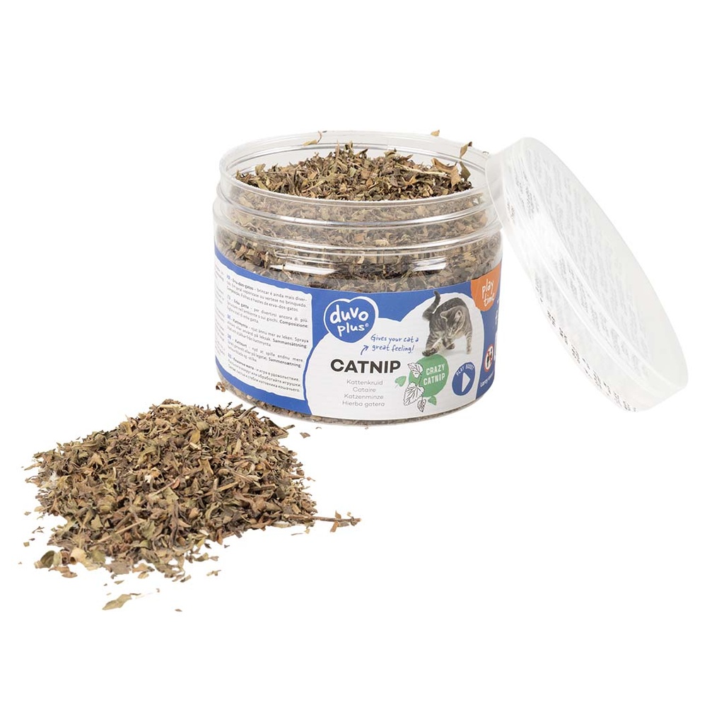 Duvo+ Catnip Herb - [Weight - 30g] (new)