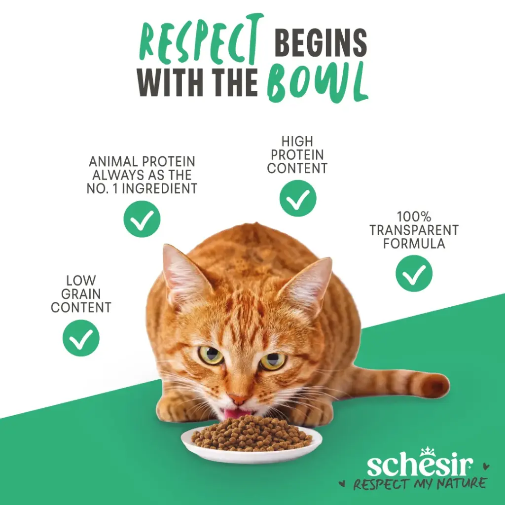 Schesir Monoprotein Adult Dry Cat Food – Fresh Chicken-400g