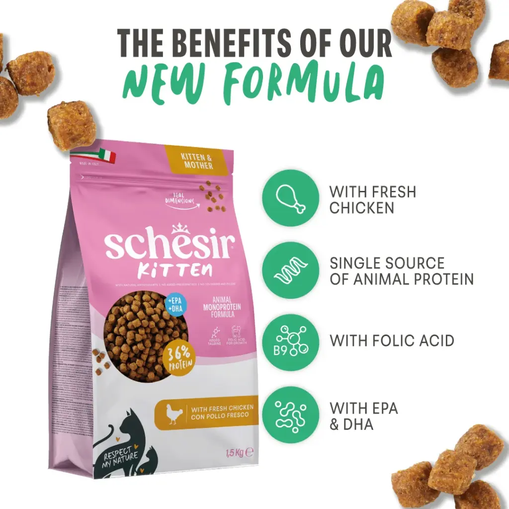 Schesir Monoprotein Kitten Dry Cat Food –Fresh Chicken-400g