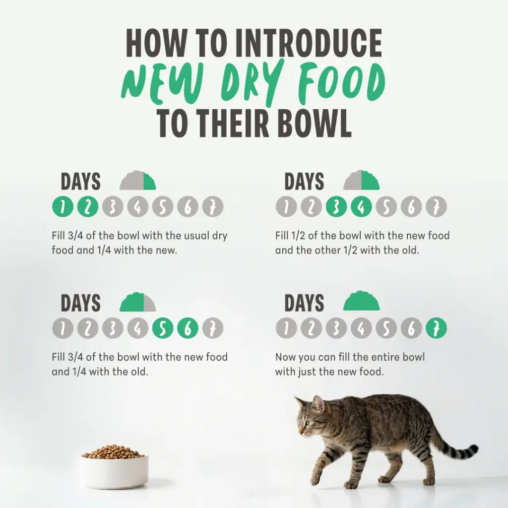 Schesir Monoprotein Kitten Dry Cat Food –Fresh Chicken-400g