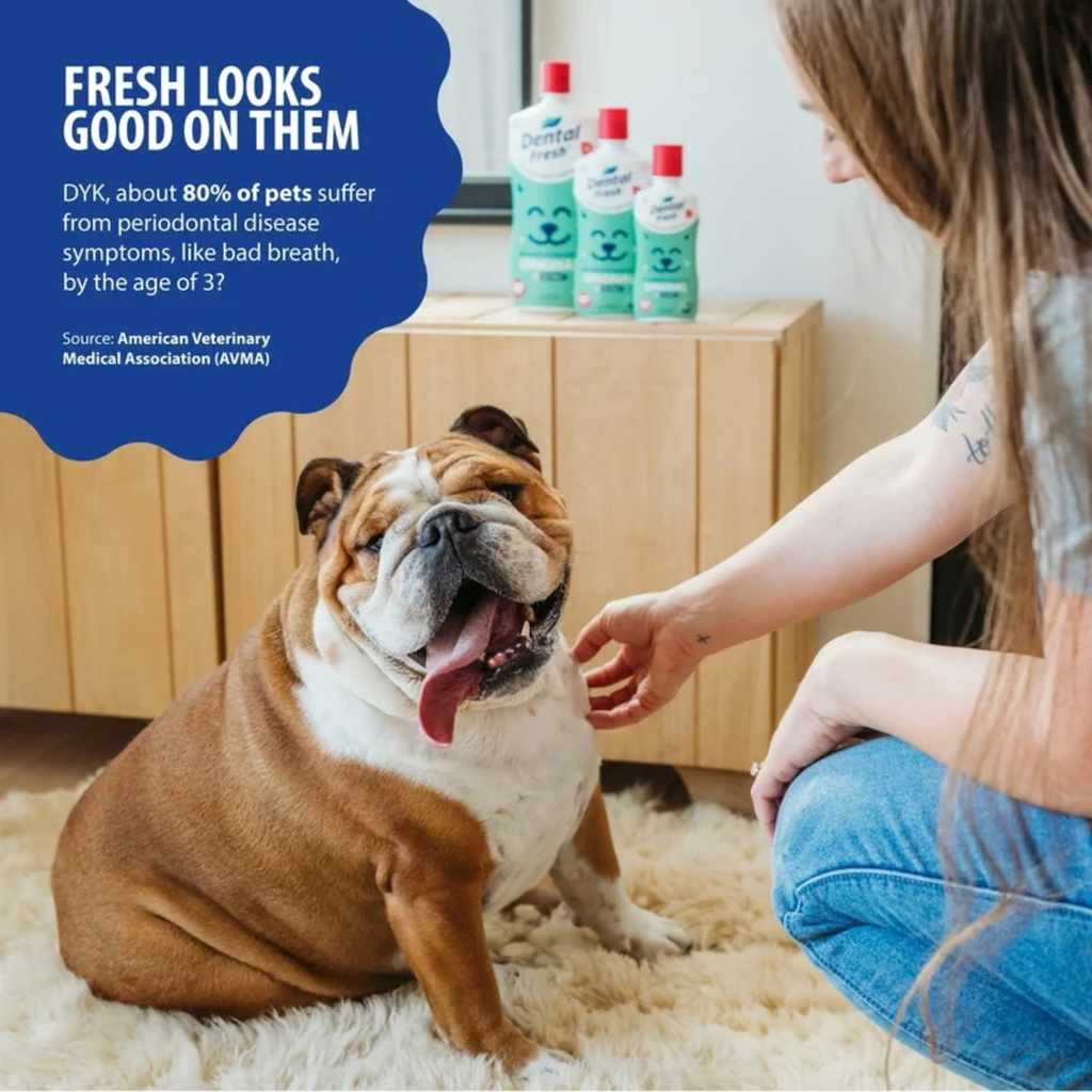 Synergy Labs Original Formula Dental Fresh - Dogs And Cats [17 Fl. Oz.][Volume - 503ml] 