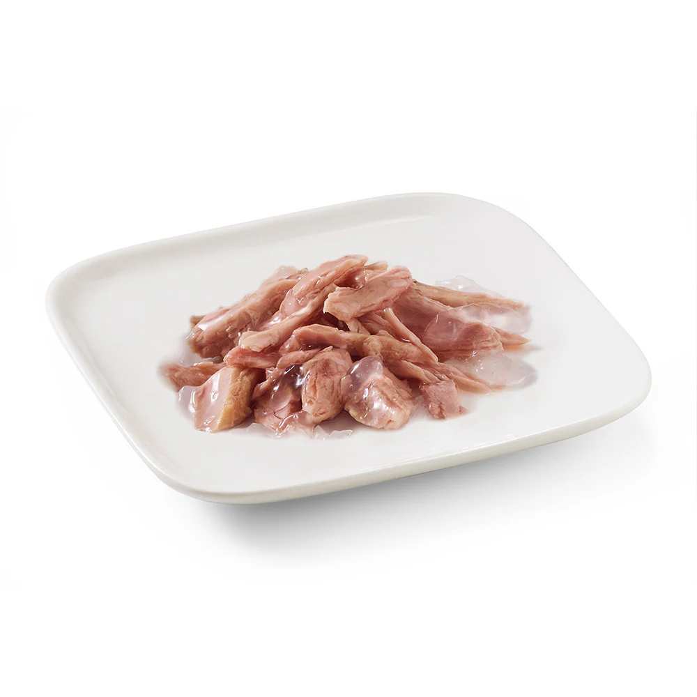 Schesir Dog Wet Food in Jelly Can-Tuna 150g [MOQ:10pcs]