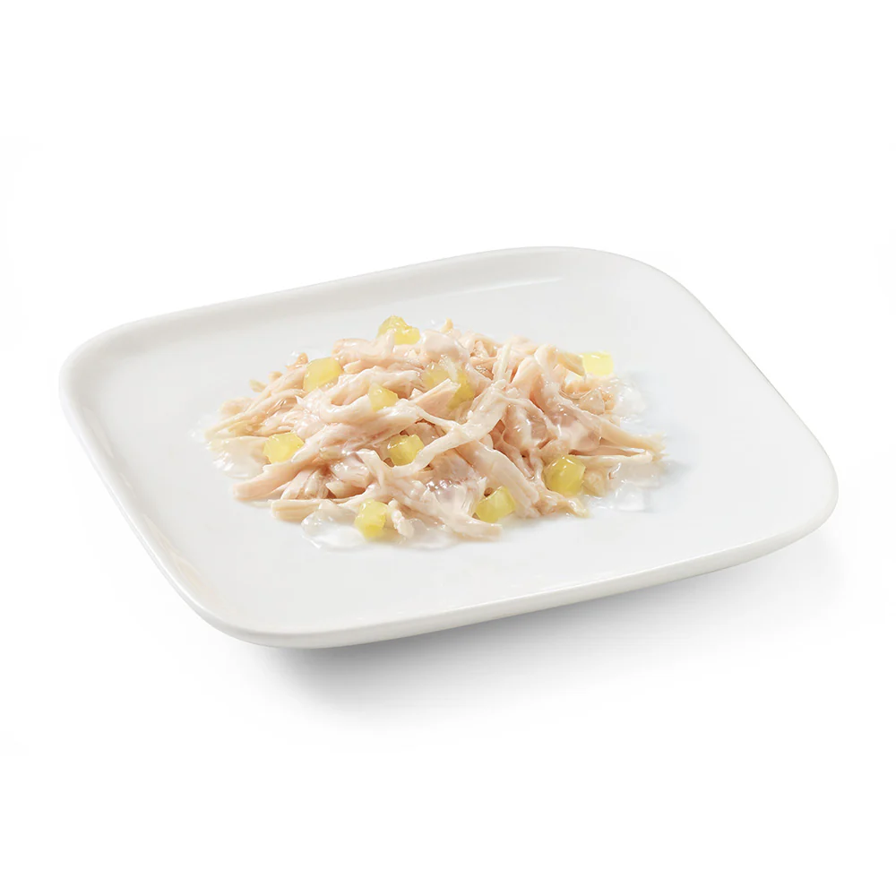 Schesir Dog Wet Food in Jelly Can-Chicken With Pineapple 150g [MOQ:10pcs]