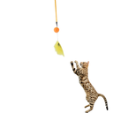 Catry Cat Toy-Cat Wands