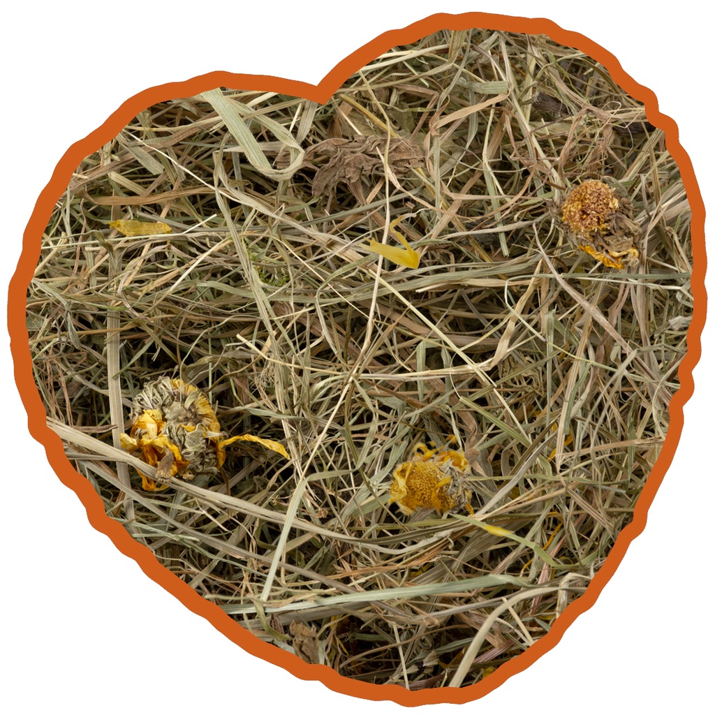 Duvo+ Herbal Hay Dandelion 500g