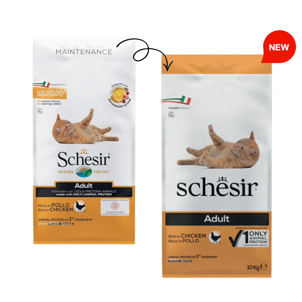 Schesir Cat Dry Food Maintenance with Chicken-Adult[Weight - 10kg]
