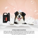 Groom Professional Citrus Shine Pet Shampoo[Volume - 4 litre, Flavor - Citrus scent]