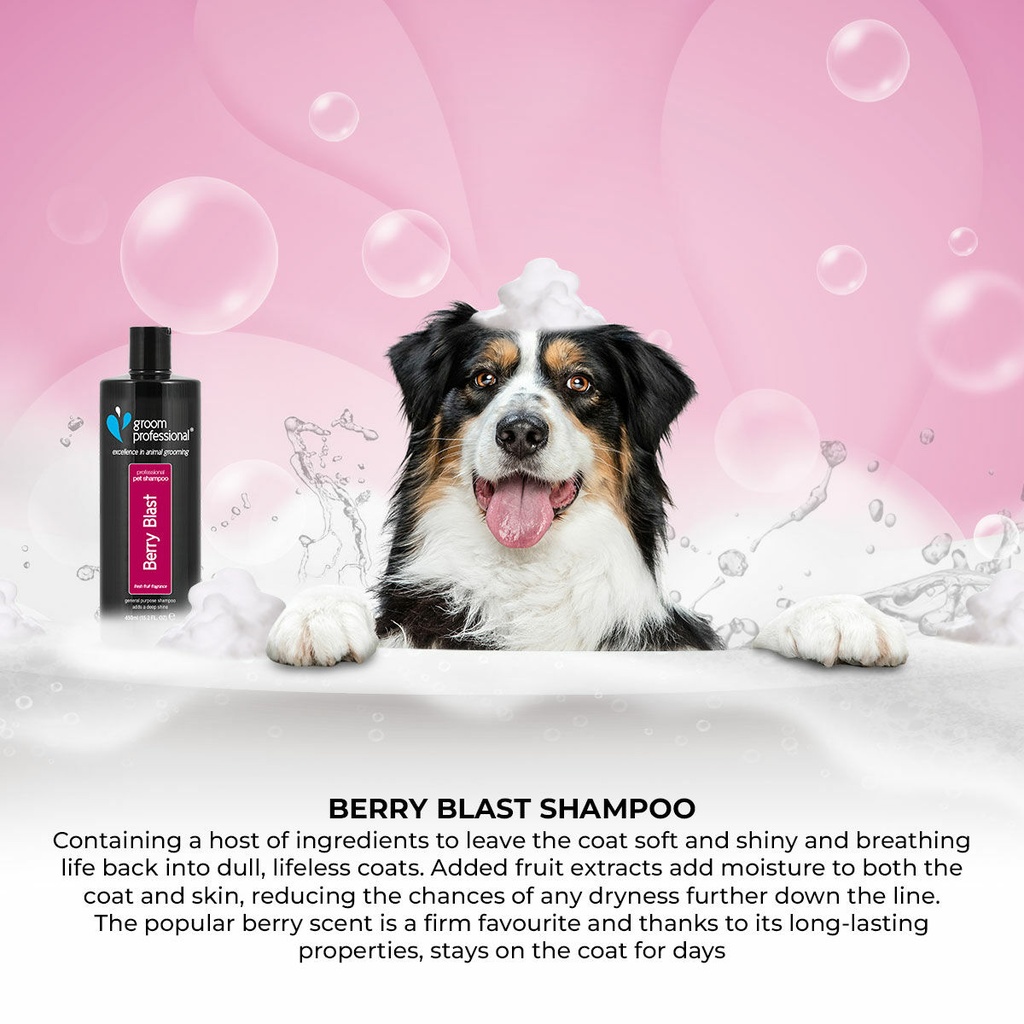 Groom Professional Berry Blast Shampoo[Volume - 4 litre]