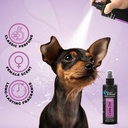 Groom Professional Canine One Cologne|Perfume[Volume - 200 ml, Flavor - Sweet Female Fragrance]