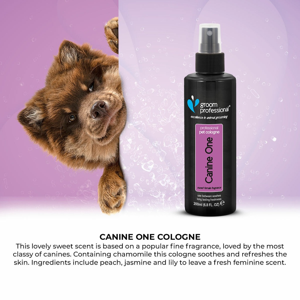 Groom Professional Canine One Cologne|Perfume[Volume - 200 ml, Flavor - Sweet Female Fragrance]