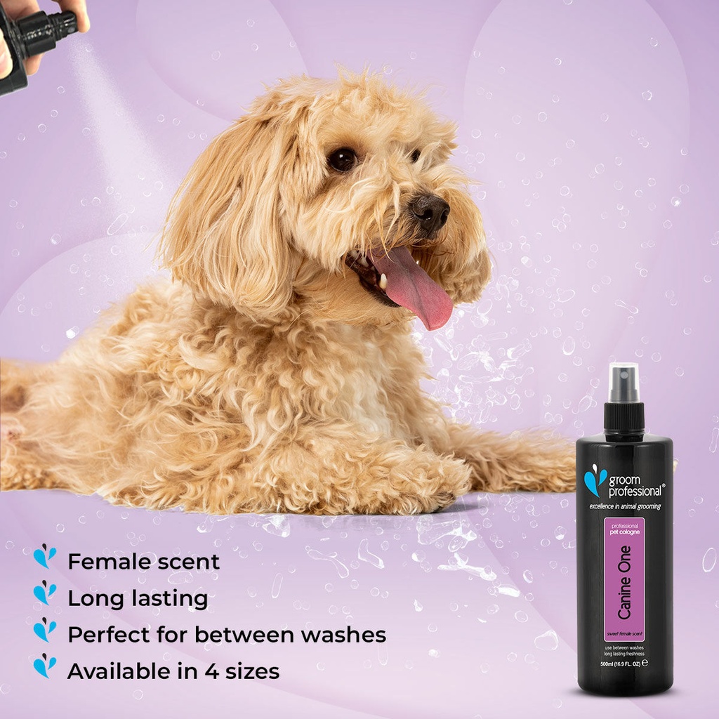 Groom Professional Canine One Cologne|Perfume[Flavor - Sweet Female Fragrance, Volume - 500ml]