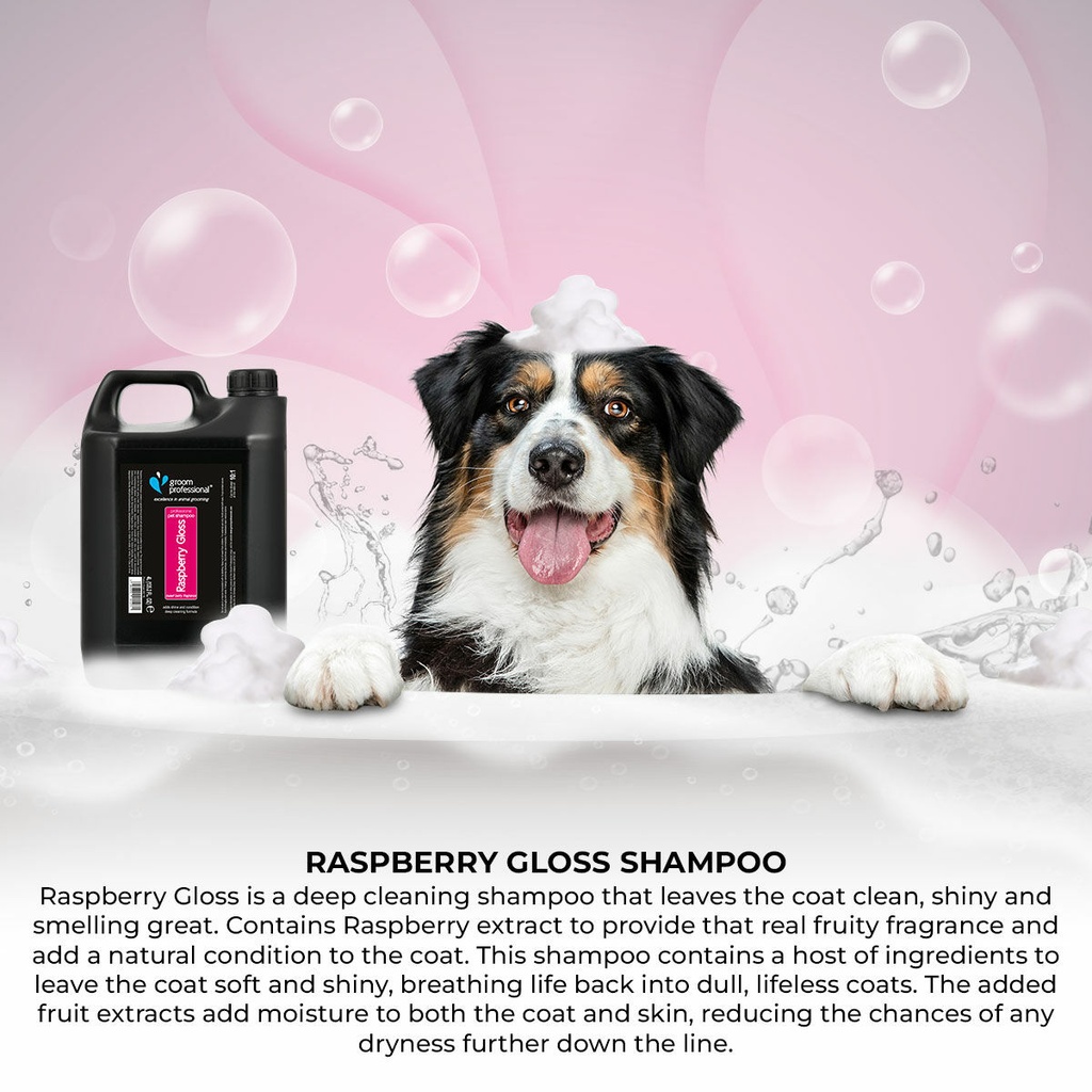 Groom Professional Raspberry Gloss Shampoo[Volume - 4 litre]