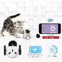 Duvo+ Race 'n Chase Mouse App-controlled Cat Toy 17x7x4cm White