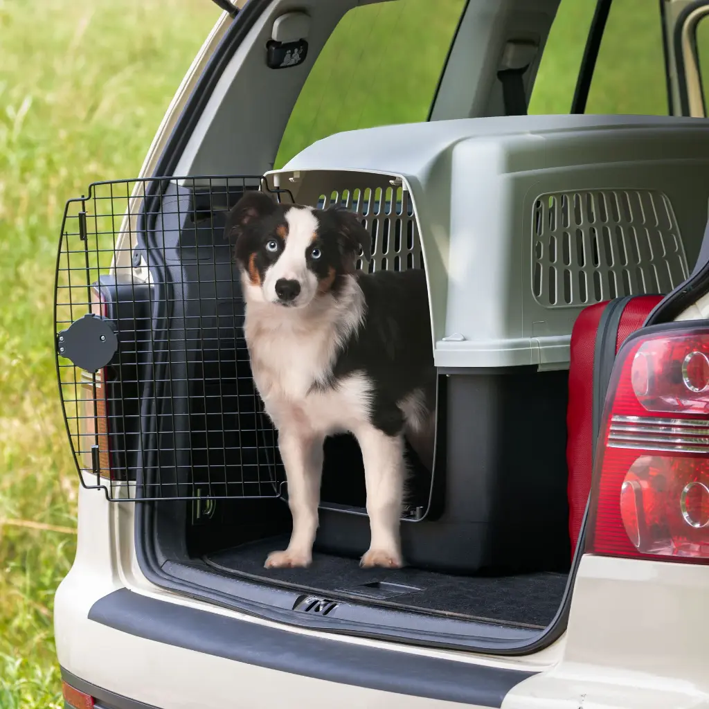 Ferplast Clipper 6 Carrier For Medium Or Large Dogs
93 x 65 x H 68 cm (IATA Approved)