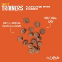 Schesir Dog Snacks Trainers Soft & Chewy 113g - Chicken