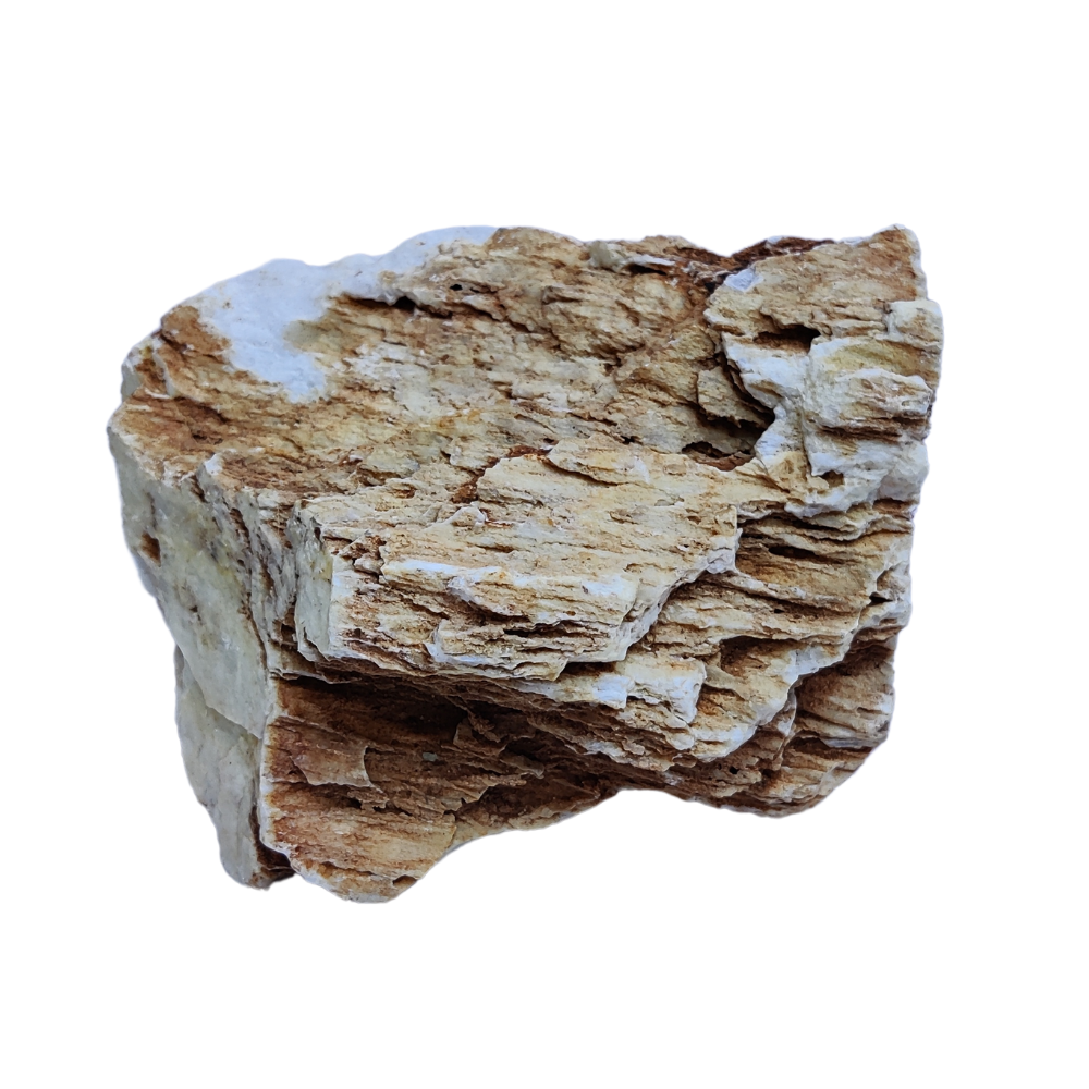 Aqualife Chicken Bone Stone