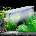 Roxin Led Top Light Colorfull[Power - 5W, Length - 20-30cm]