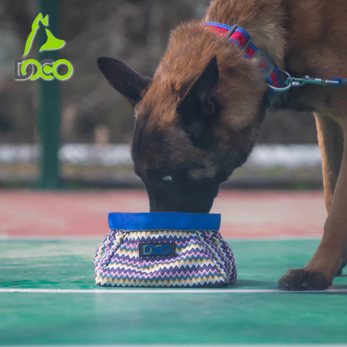 DOCO® Multifunctional Pet Bowl 1L(M) Honolulu