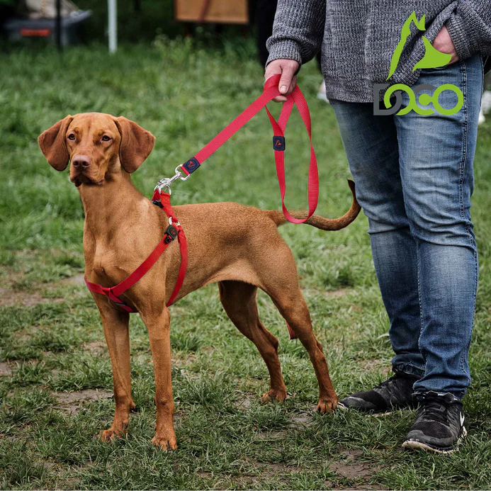 DOCO® Signature Nylon Leash - 4ft-1.5 x 120cm(S)-S.Orange