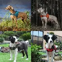 DOCO® VERTEX Power Harness 3.2 x 78-96cm(L) Turquoise