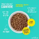 Schesir Born Carnivore Grain Free Oven Baked Dry Cat Herring & Salmon 1.25kg