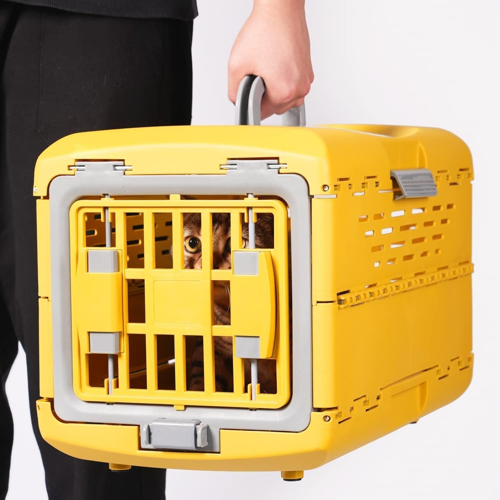 Pado Foldable Pet Carrier 48x30x32cm-Gold Colour