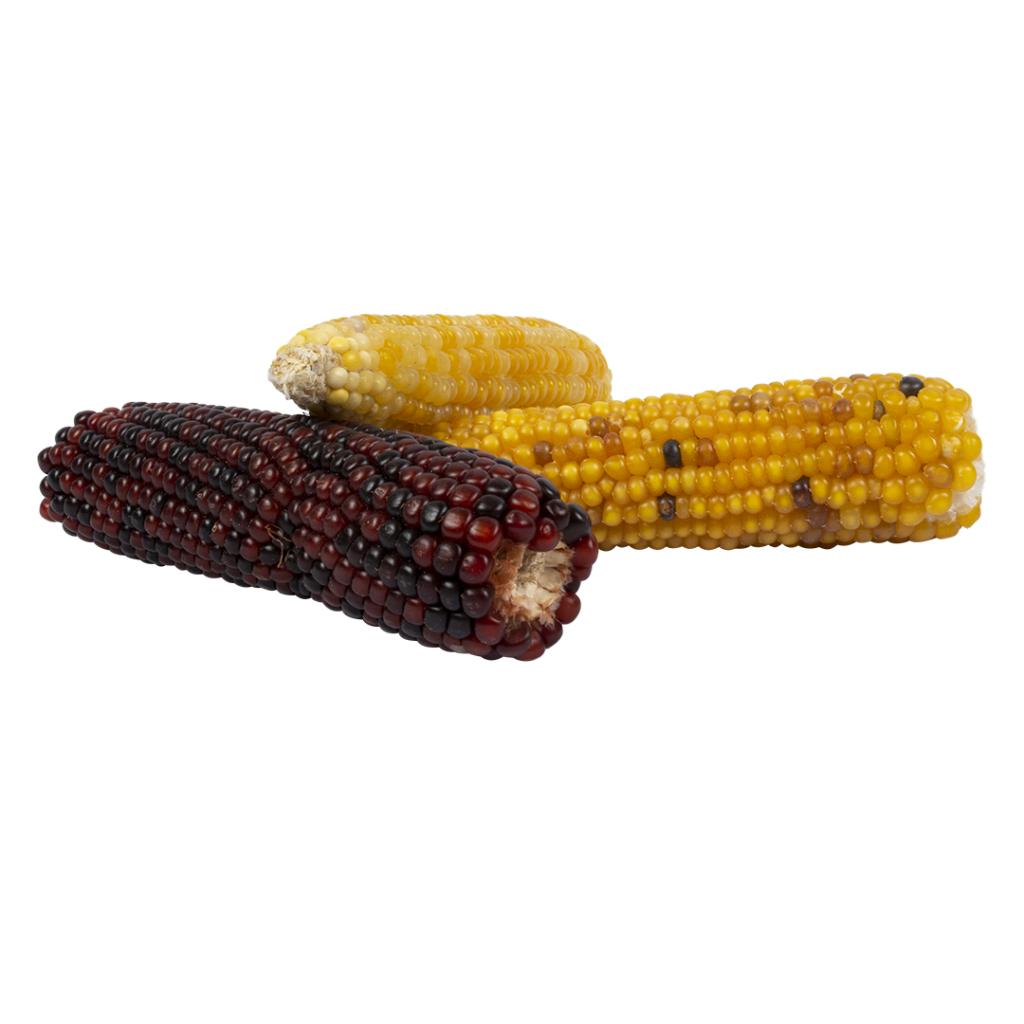 Duvo+ Mini Corn Cob Mix