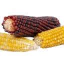 Duvo+ Corn Cob Mix 3pcs