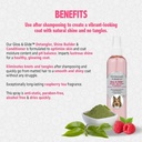 Synergy Labs Veterinary Formula Gloss and Glide Detangler, Shine Builder & Conditioner 8 oz -236 ml