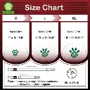 DOCO® Solar Mesh Training Dog Collar (DCA039)-Color - Red, Sizes - XL