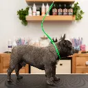 Jelly Pet Grooming Loop 3/8'' x24''[Color - Royal Blue]