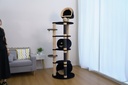 Catry Cat Tower With House