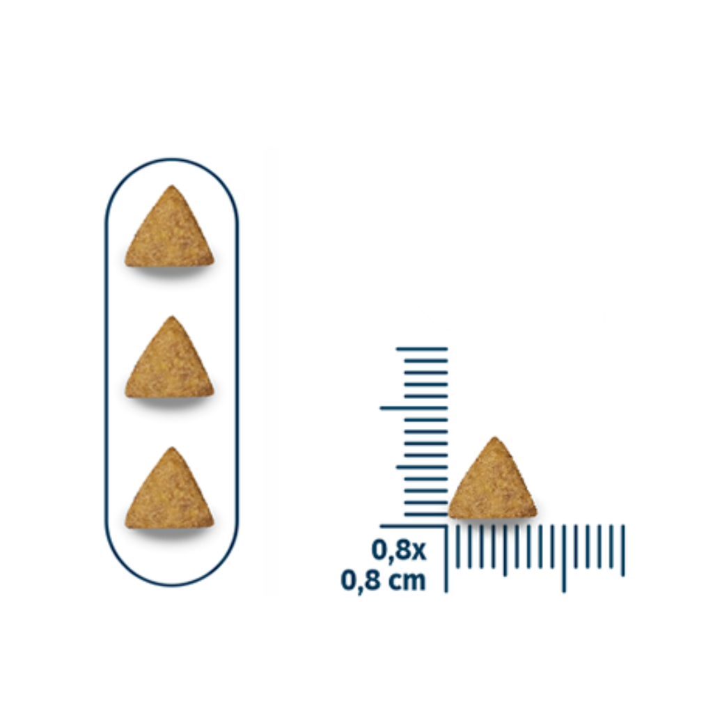 Seven Dogs Dog Food For Puppies - Small And Mini Breeds-Beef,Chicken & Cereals 10 kg+100g