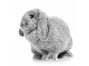 IMAC RONNY 80 -2nd Life-Cage for rabbits and guinea pigs - 80 x 48.5 x 42cm