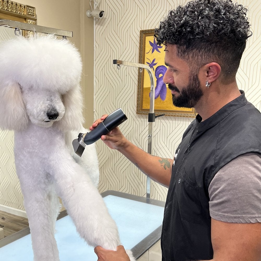 Andis beSPOKE Professional Clipper