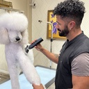 Andis beSPOKE Professional Clipper